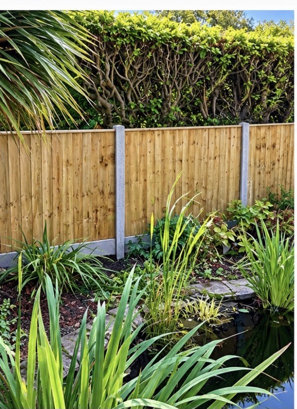 Close-board fencing beside a garden pond
